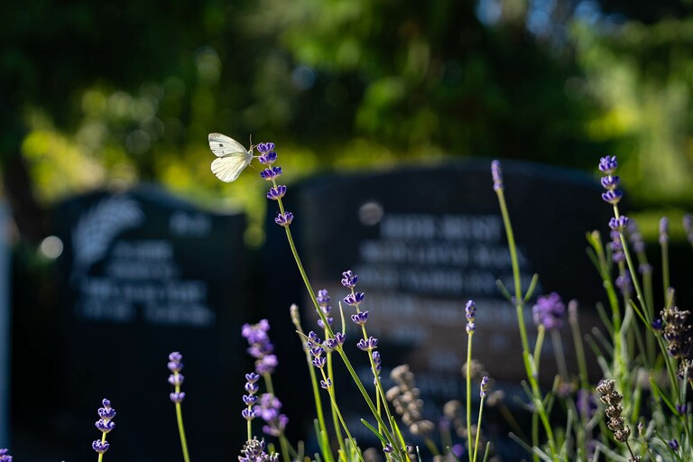 Wat is begraven?