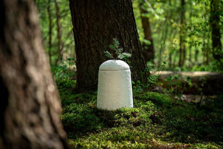 Duurzame keuzes voor urnen en asbestemming